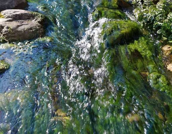 Acqua che squilli